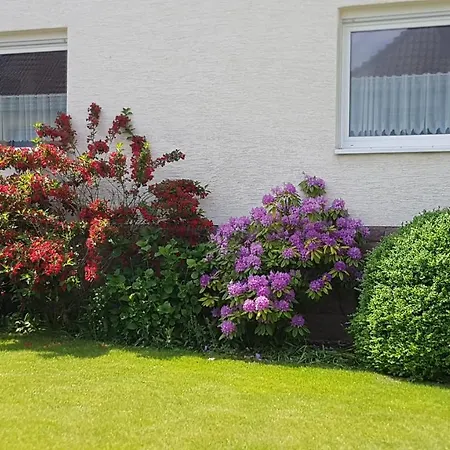 Lebensfreude Im Weserbergland 公寓 赫克斯特