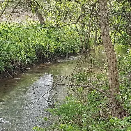 Lebensfreude Im Weserbergland Höxter