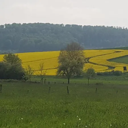 Lebensfreude Im Weserbergland Hoexter