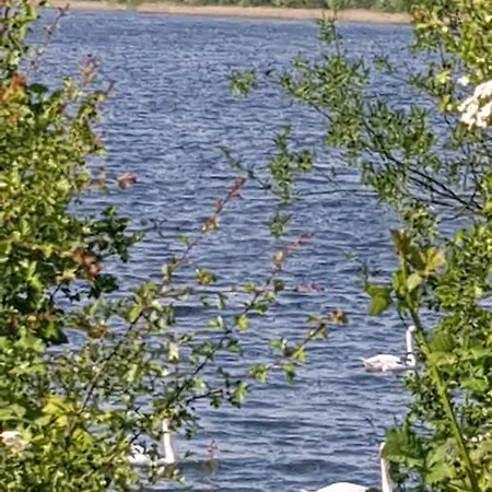 Daire Lebensfreude Im Weserbergland *