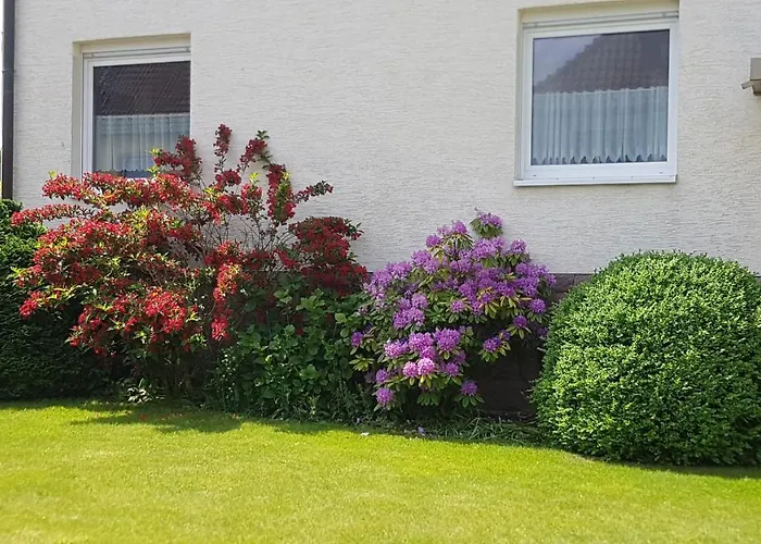 Lebensfreude Im Weserbergland 公寓 赫克斯特