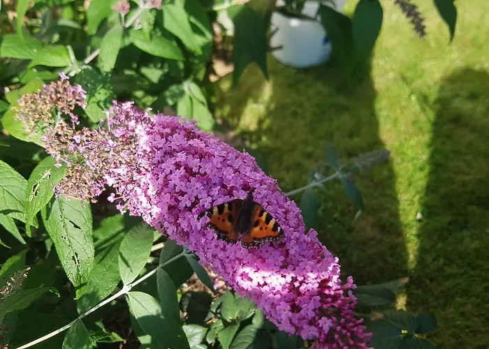 Lebensfreude Im Weserbergland *