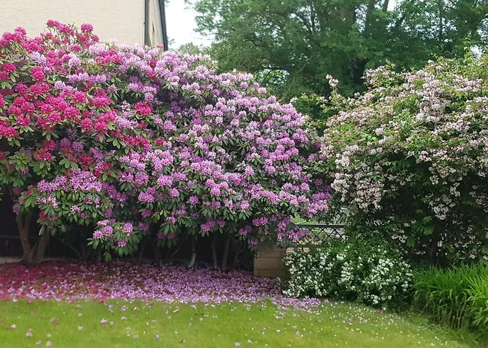 Lebensfreude Im Weserbergland شقة Höxter