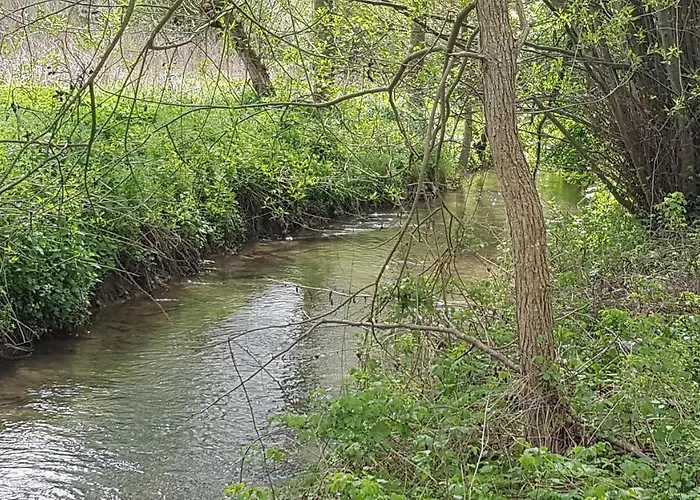 Lebensfreude Im Weserbergland 赫克斯特