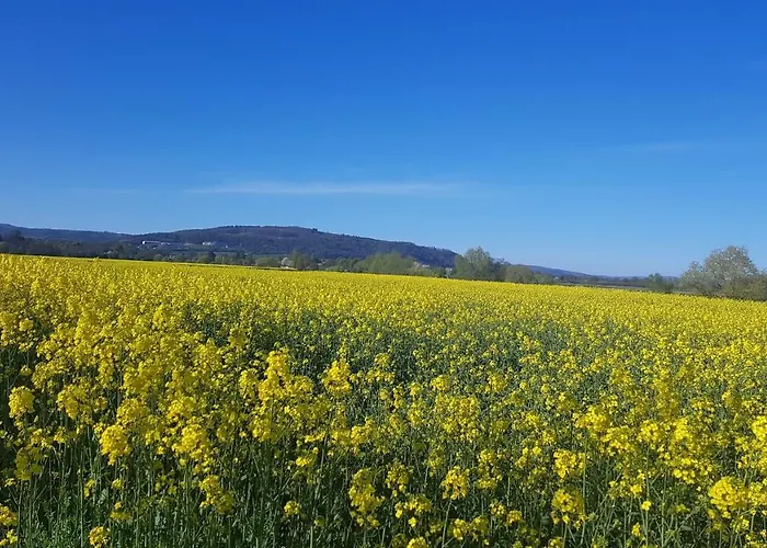 Lebensfreude Im Weserbergland 아파트 혹스터