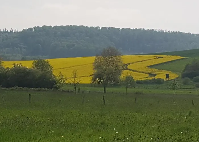 Lebensfreude Im Weserbergland 赫克斯特