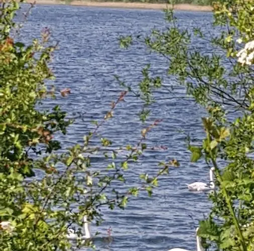 公寓 Lebensfreude Im Weserbergland *