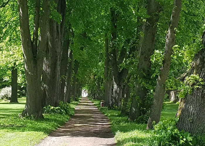 Lebensfreude Im Weserbergland 아파트