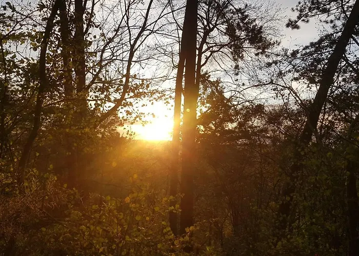 Lebensfreude Im Weserbergland 아파트 *